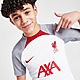 White/Brown/Grey/Red Nike Liverpool FC Strike T-Shirt Junior