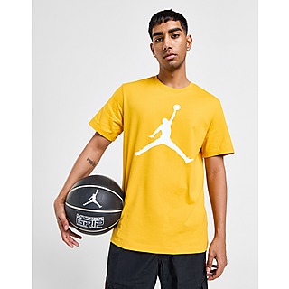 Jordan Jumpman Logo T-Shirt