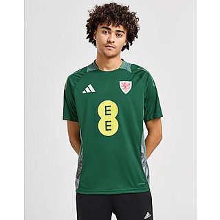 adidas Wales Tiro 24 Training Shirt