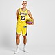 Amarelo/Roxo Nike Calções NBA Los Angeles Lakers Swingman