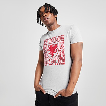 Official Team T-shirt Wales 1876