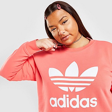 adidas Originals Sweatshirt Trefoil Plus Size