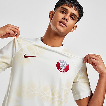 Nike Camisola Equipamento Alternativo Qatar 2022
