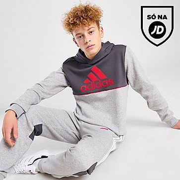 adidas Linear Badge of Sport Logo Hoodie Junior