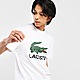ขาว Lacoste เสื้อยืดผู้หญิง Logo