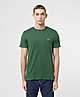 Green/Green Lacoste Plain Pima T-Shirt
