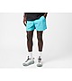 Bleu Nike ACG 'Reservoir Goat' Shorts