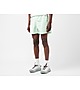 Green Nike ACG 'Reservoir Goat' Shorts