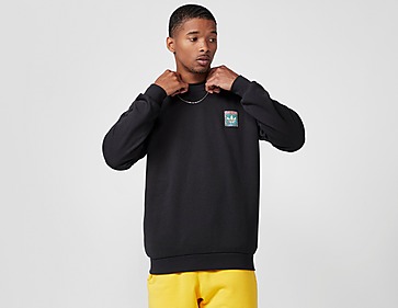 adidas Originals Skateboarding Graphic Crew Sweatshirt