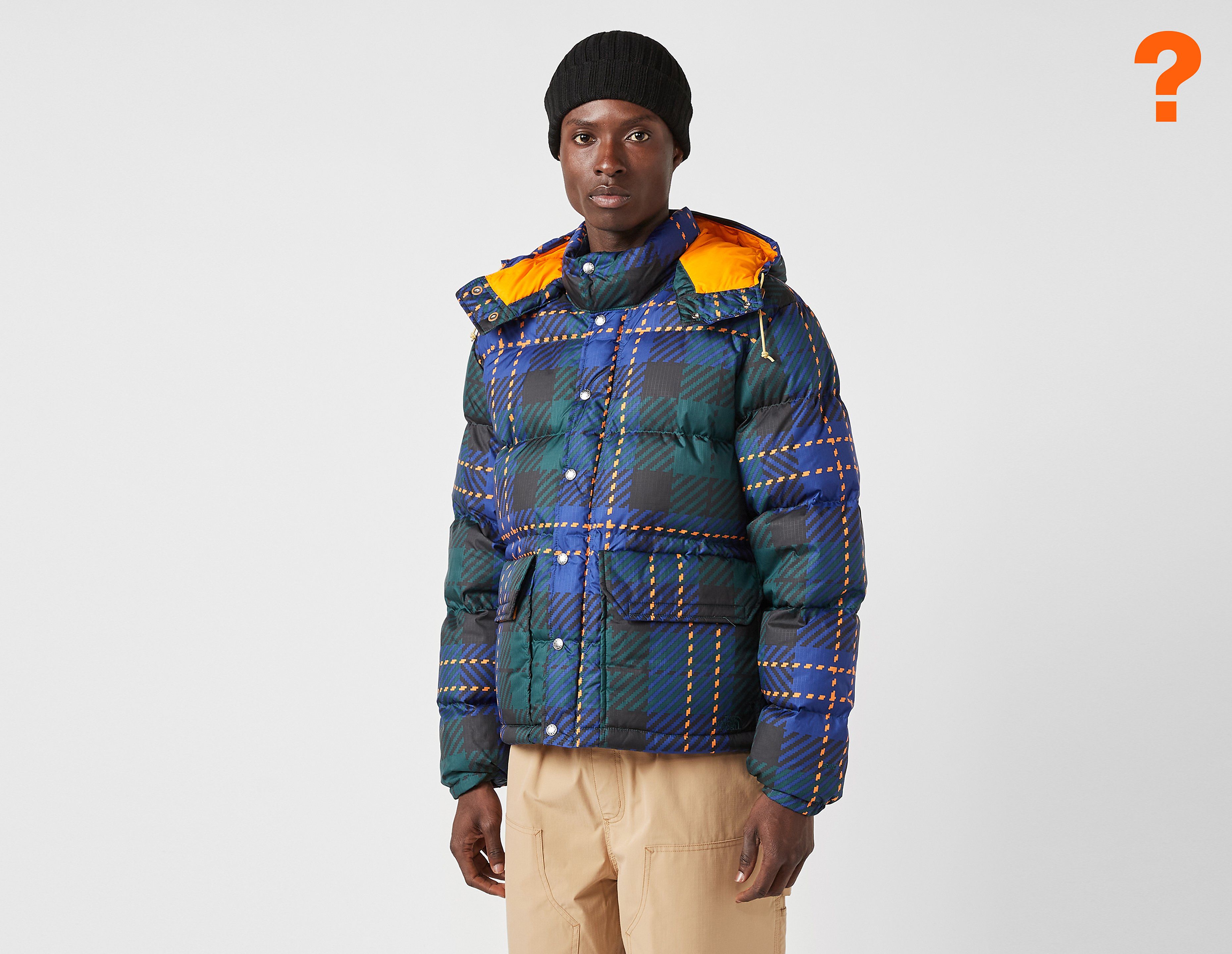 The North Face Printed '71 Sierra Down Short Jacket, Green
