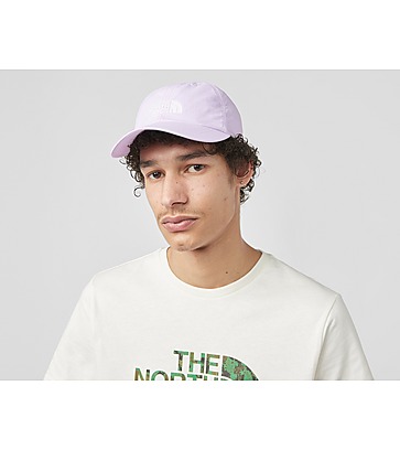 The North Face Jester Backpack Horizon Ball Cap