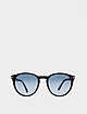 Black Persol Classic Sunglasses